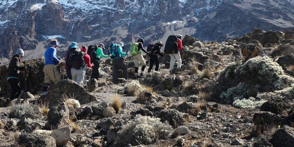 Mount Kenya Expedition