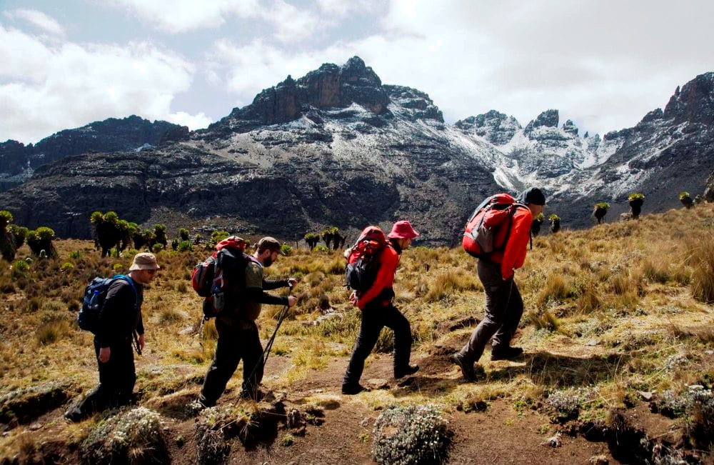 Mount Kenya Trips