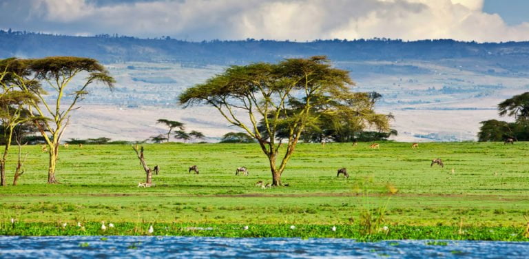 3 Days Lake Naivasha – Lake Nakuru Safari