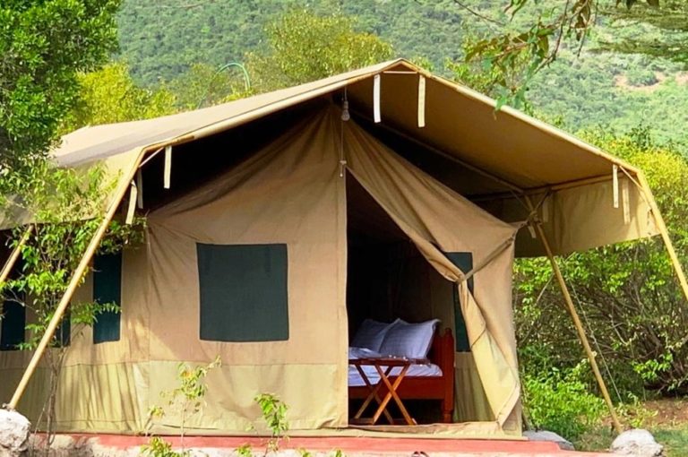 4 Days Masai Mara Camping Safaris