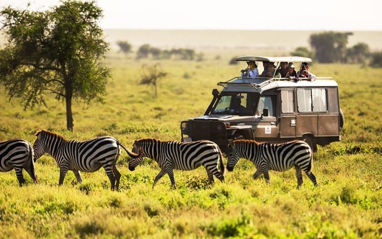 Nairobi National Park Day Trip