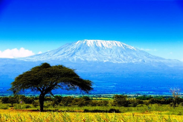 Mt Kilimanjaro lemosho route | Mt Kilimanjaro machame route | Mt Kilimanjaro marango route