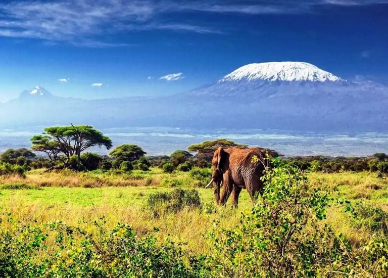 Mount Kilimanjaro climbing tours mt Kilimanjaro