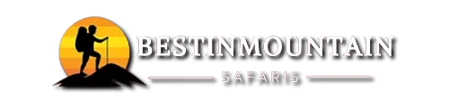 Besitinmountains logo
