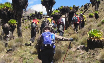 5 Days Sirmon route down chogoria Mount Kenya Hikings
