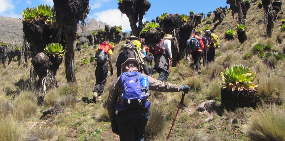 5 Days Sirmon route down chogoria Mount Kenya Hikings