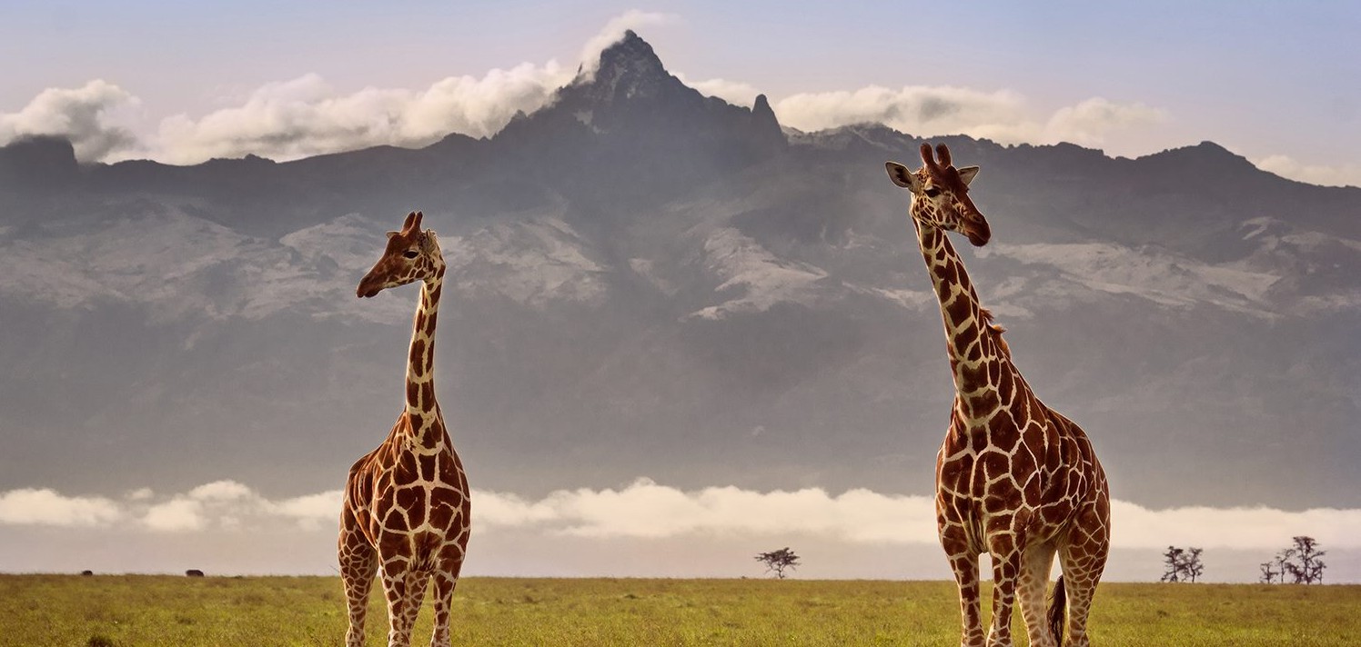 Mount Kenya Trips | Mt Kenya Trip | Mount Kenya Expeditions | Mount Kenya Trekking & Hikes