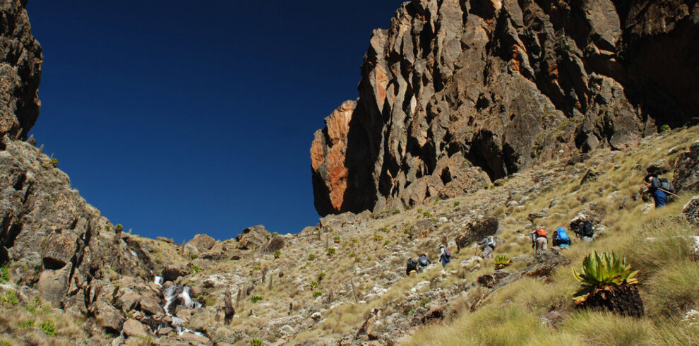 4-Day Mount Kenya Sirimon Route Trek to Point Lenana