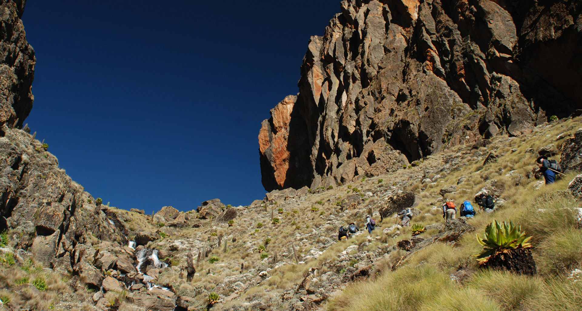 4-Day Mount Kenya Sirimon Route Trek to Point Lenana