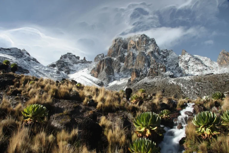 Climb Mount Kenya Cost & Value in 2026: Maximizing Your Trekking Experience