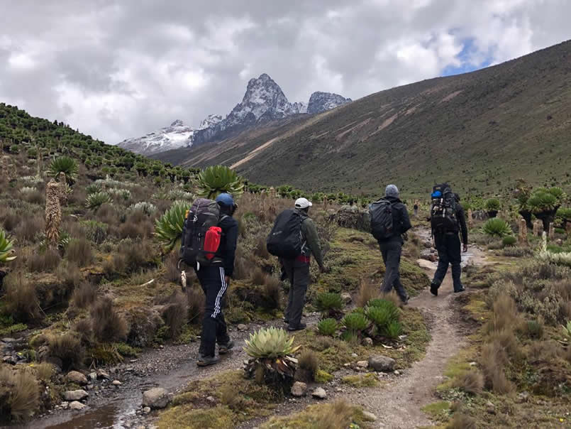 Mount Kenya Expeditions for Adventure Seekers in 2026: Multi-Day Treks, Scenic Routes & Guided Tours