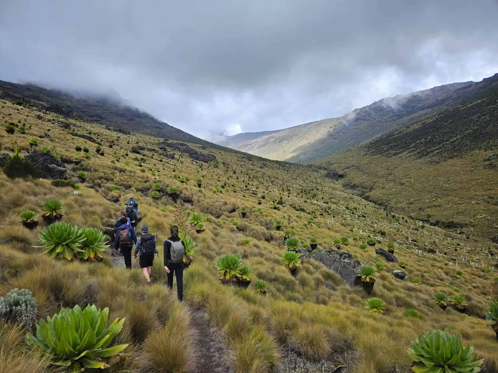 How to Experience Mount Kenya Hiking & Trekking in 2026: Routes, Adventures & Guided Expeditions