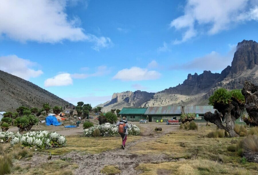 Mt. Kenya Sirimon Route Hike | 3-Day Trekking Adventure