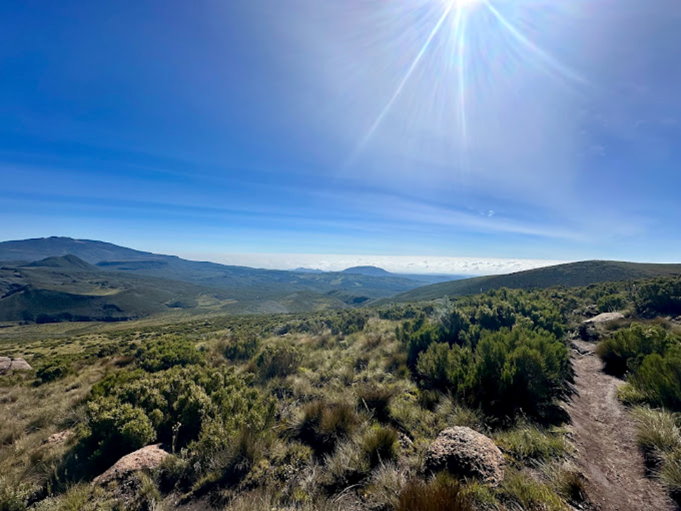 4-Day Mount Kenya Trekking via Sirimon to Naro Moru