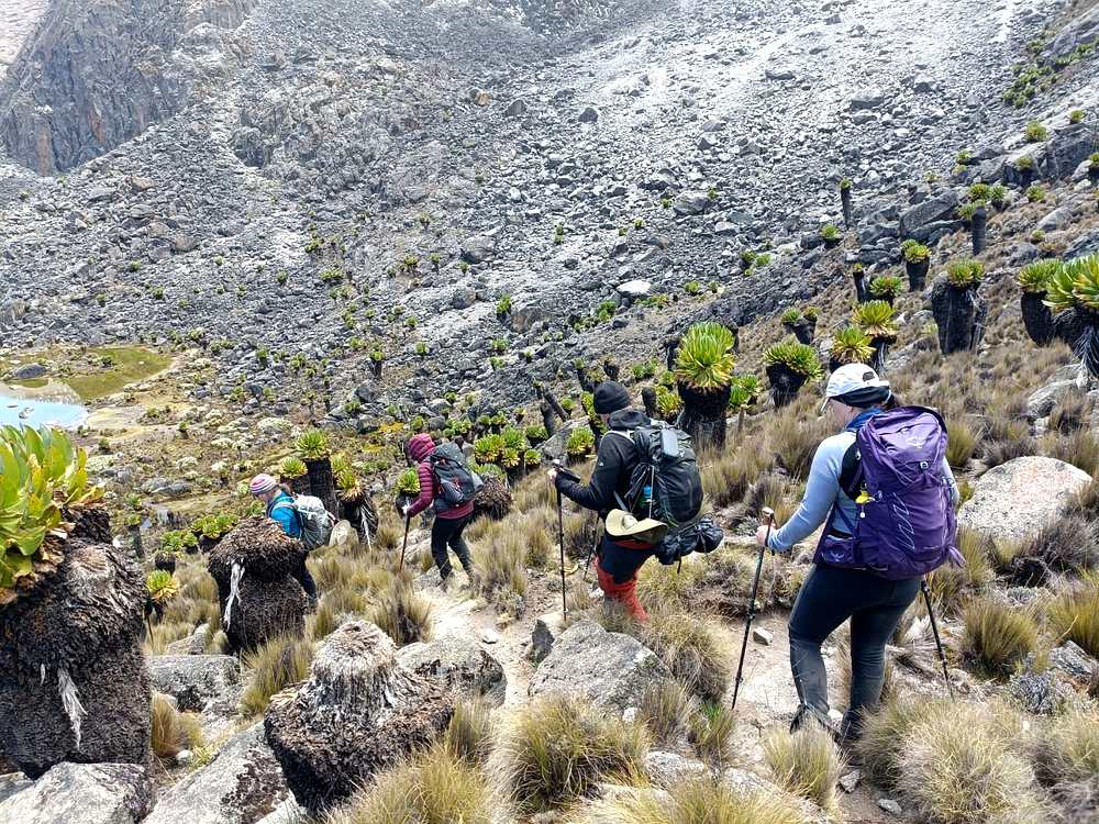 6-Day Mount Kenya Trekking via Timau to Sirimon